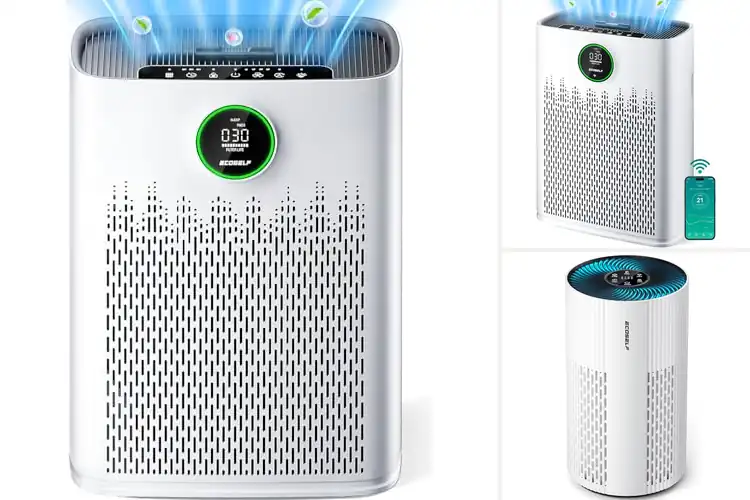 Detailed view of 10 Best Air Purifiers For Bedrooms for Better Sleep