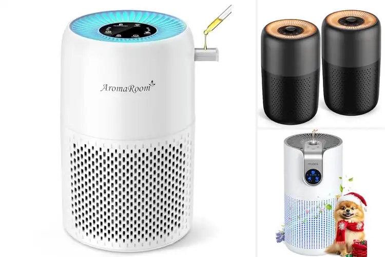 Detailed view of 10 Best Air Purifiers With Essential Oils for Fresh Living