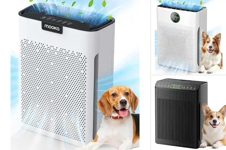 Detailed view of 10 Best Air Purifiers With Washable Filters for Fresh Air
