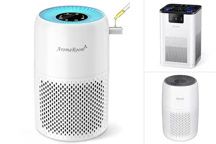 Detailed view of 10 Best Aromatherapy Air Purifiers for Fresh, Calm Homes