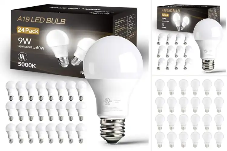 Detailed view of 10 Best Bright White Bulbs for a Brighter, Fresher Home