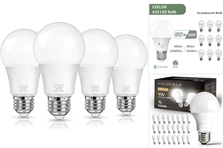 Detailed view of 10 Best Daylight Bulbs to Instantly Energize Your Room