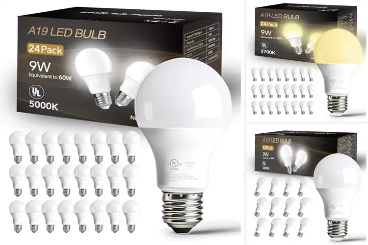 Detailed view of 10 Best Energy Saving Bulbs for Lower Power Bills