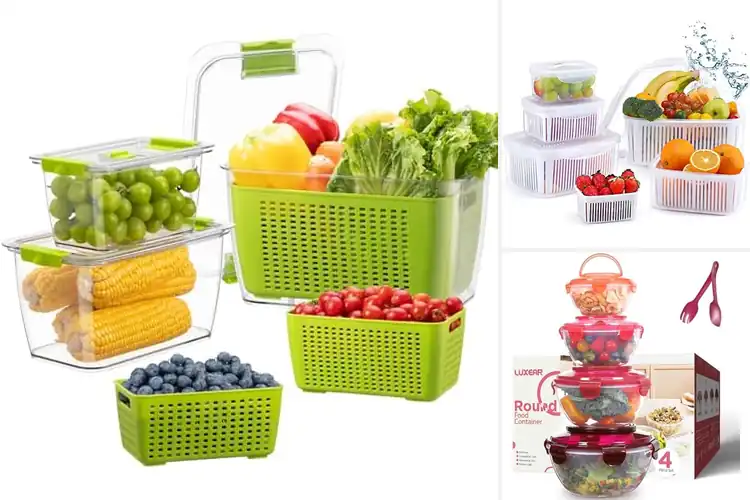 Detailed view of 10 Best Freshness Containers to Keep Food Crisp Longer