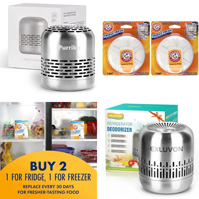 10 Best Fridge Odor Eliminators for a Fresh Smelling Fridge