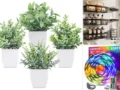 10 Must-Have Home Decor Items
