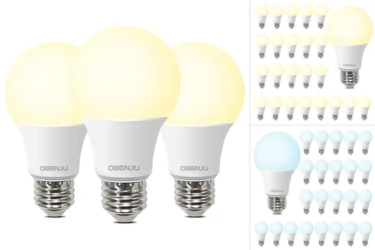 Detailed view of 10 Best Home Office Bulbs for Eye Comfort & Focus