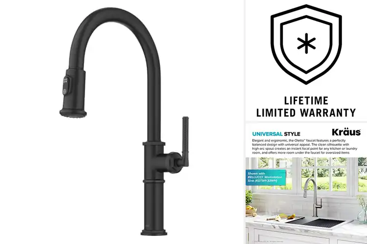 Detailed view of 10 Best Modern Kitchen Faucets for Style & Function