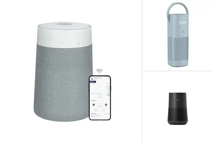 Detailed view of 10 Best Portable Air Purifiers for Fresh Air Anywhere
