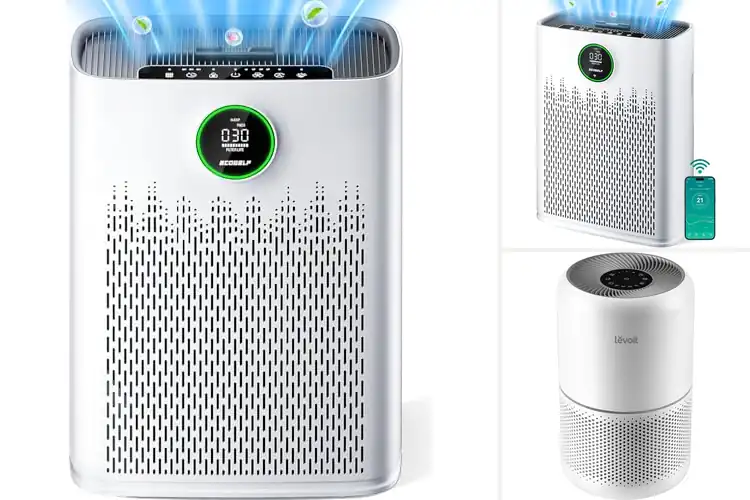 Detailed view of 10 Best Air Purifiers for a Fresher, Healthier Home