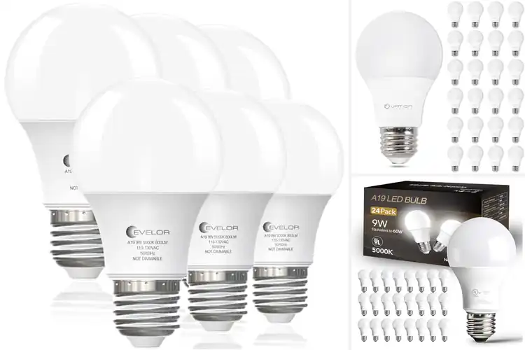 Detailed view of 10 Best Daylight LED Bulbs to Brighten and Refresh Your Home