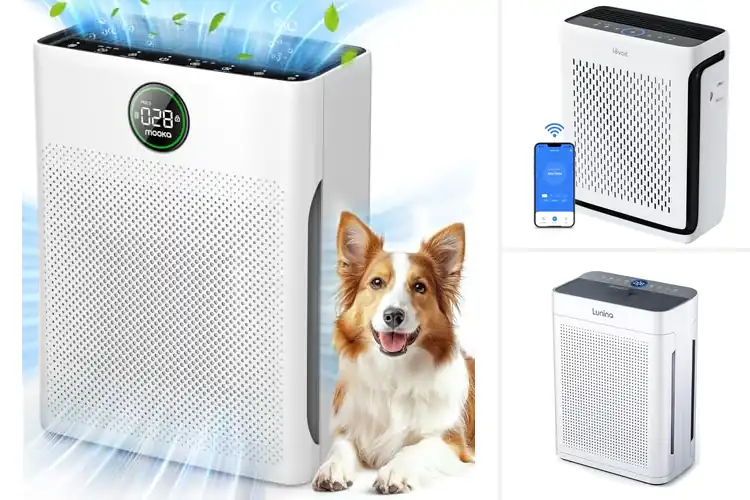 Detailed view of 10 Best Energy-Efficient Air Purifiers For Living Rooms Tested