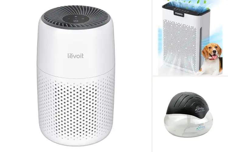 Detailed view of 10 Best Fragrance Air Purifiers For Homes to Boost Freshness