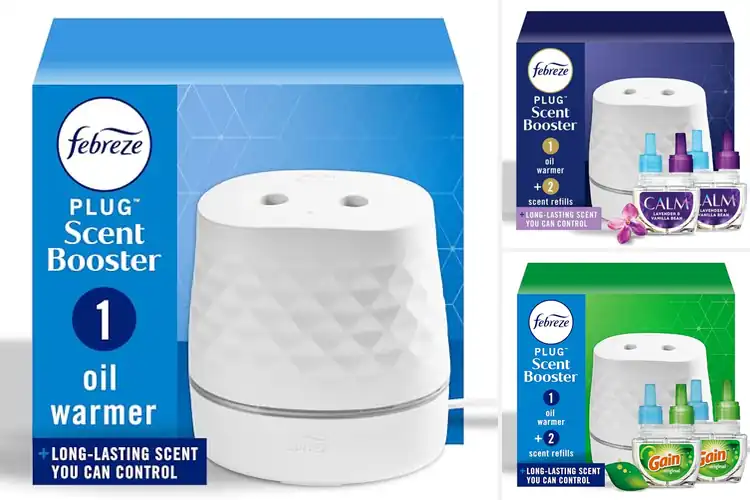 Detailed view of 10 Best Fragrance Diffusers for a Fresh, Inviting Home