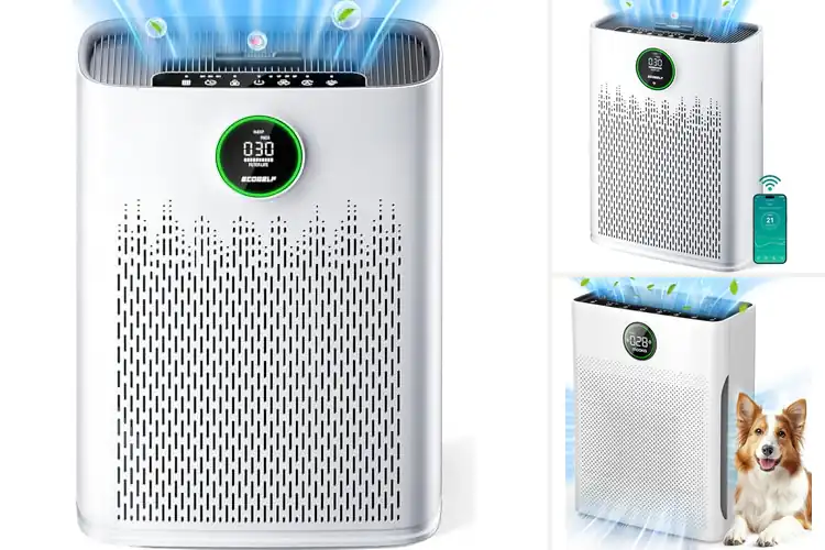 Detailed view of 10 Best Large Room Air Purifiers for Cleaner Living