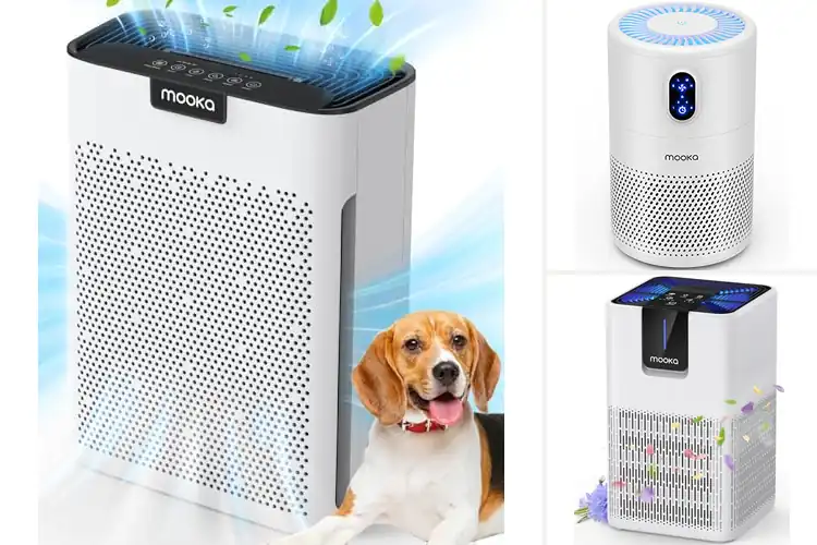 Detailed view of 10 Best Low Noise Air Purifiers for Peaceful Breathing