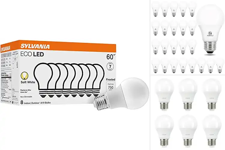 Detailed view of 10 Best Non Dimmable LED Bulbs: Bright, Energy-Saving Picks