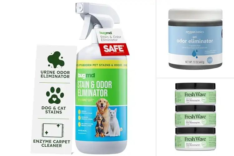 Detailed view of 10 Best Odor Removers That Erase Smells for Good