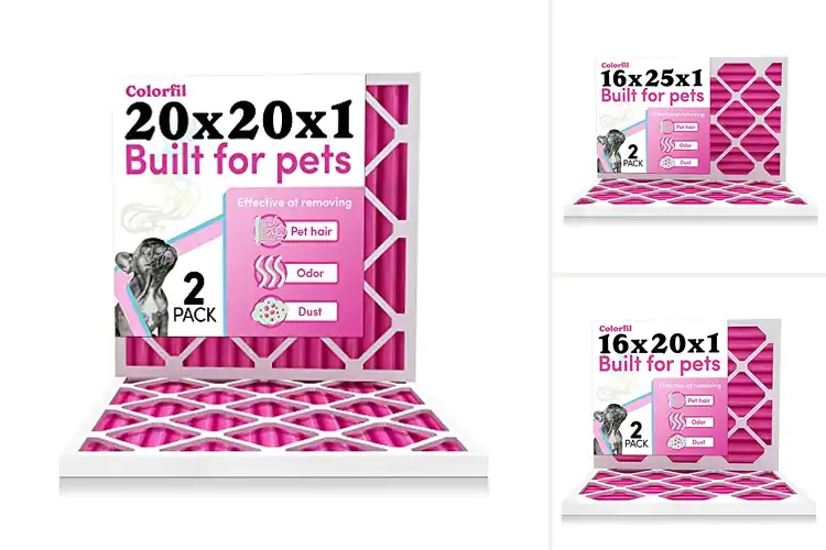 Detailed view of 10 Best Pet Dander Filters for Fresh, Allergen-Free Air