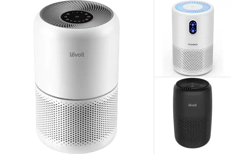 Detailed view of 10 Best Pet Odor Air Purifiers For Pets That Truly Work