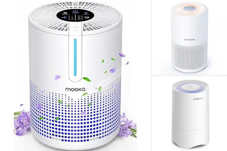 Detailed view of 10 Best Portable Air Purifiers for Small Spaces: Breathe Easy