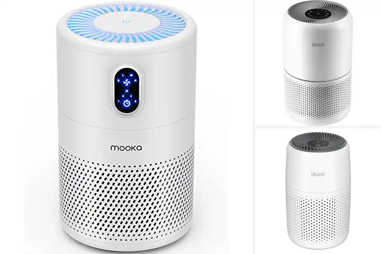 Detailed view of 10 Best Sleek Air Purifiers For Modern Homes That Actually Work