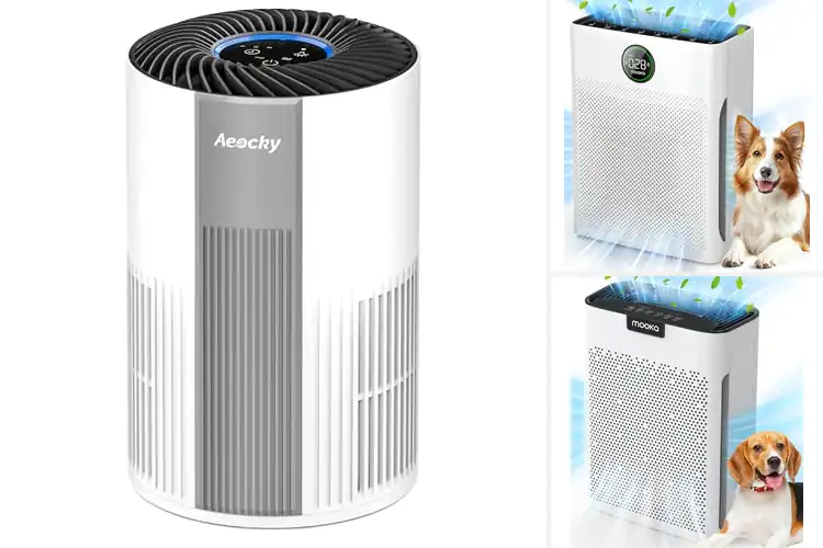 Detailed view of 10 Best Washable-Filter Air Purifiers For Homes: Breathe Easy