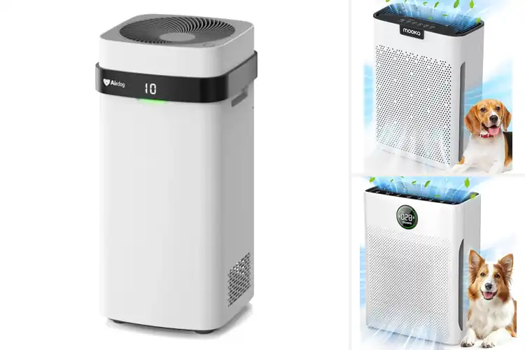 Detailed view of 10 Best Washable Filter Purifiers for Fresh Clean Air