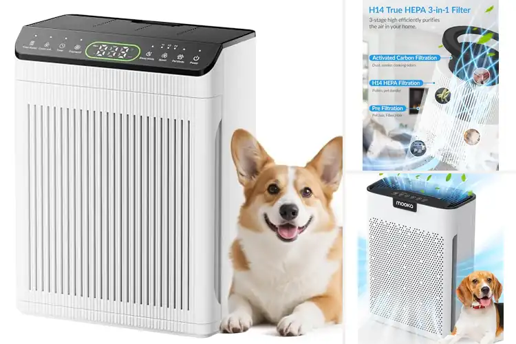 Detailed view of 10 Best White Air Purifiers For Modern Interiors That Work