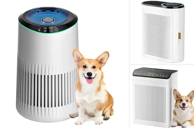 Detailed view of 10 Best White-Finish Air Purifiers For Bedrooms Sleep