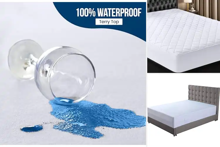 Detailed view of 10 Best Queen Size Mattress Protectors for Fresh Sleep