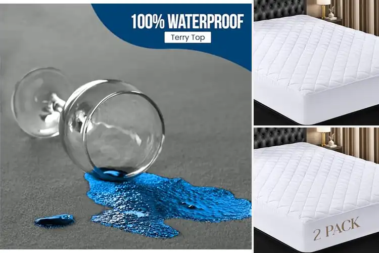 Detailed view of 10 Best All Around Elastic Mattress Protectors: Top Tested Picks