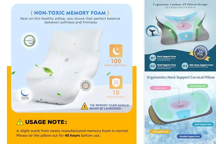 Detailed view of 10 Best Back Sleeping Pillows for Restful Nights