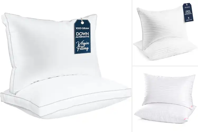 Detailed view of 10 Best Sleeping Pillows for Blissful Nights