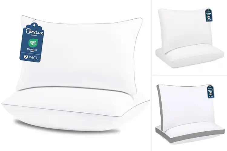 Detailed view of Best 18X26 Inch Queen Pillows