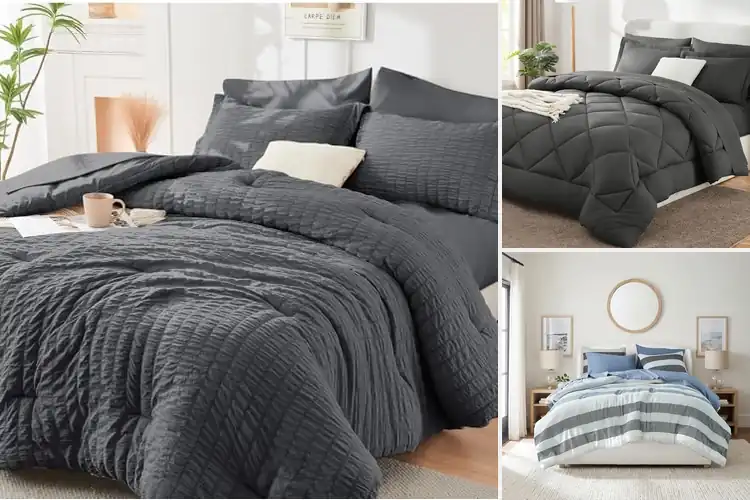 Detailed view of Best King Size Comforter Sets