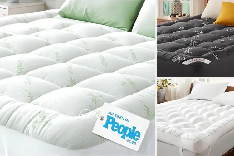 Detailed view of Best Mattress Toppers For Back Pain Reliefs