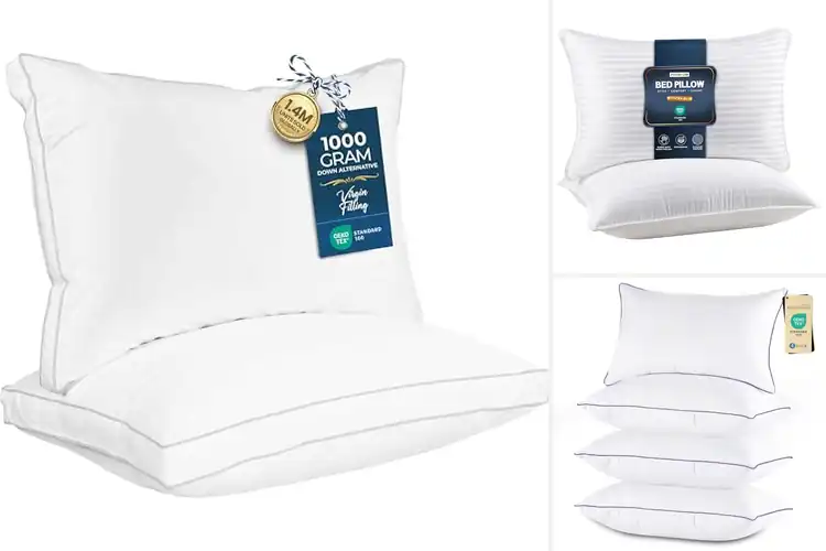 Detailed view of Best Plush Pillow Sets