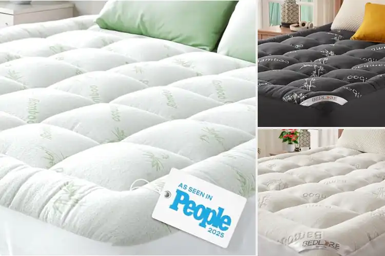 Detailed view of Best Back Pain Relief Mattress Pads