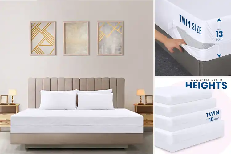Detailed view of Best Bed Bug Mattress Covers: Sleep Bug-Free Tonight