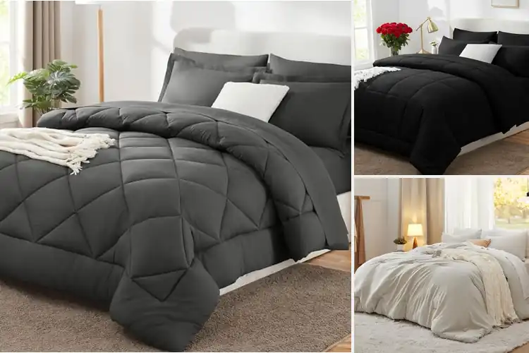 Detailed view of Best Comforters Queens