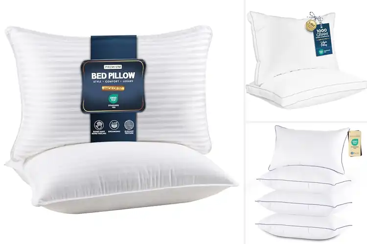 Detailed view of Best Plush Queen Pillows Set