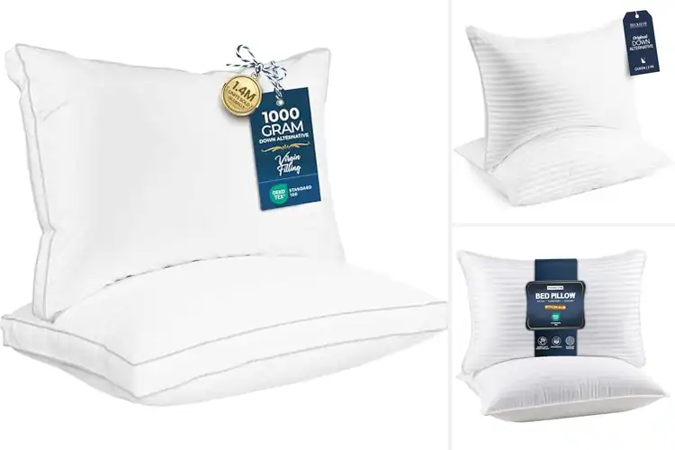 Detailed view of Best Sleeping Pillows For Queens