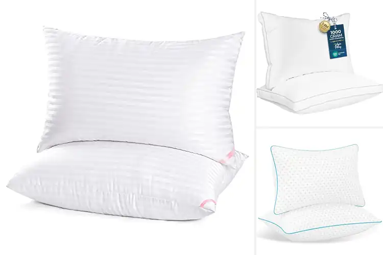 Detailed view of Best Two Pack Queen Pillows