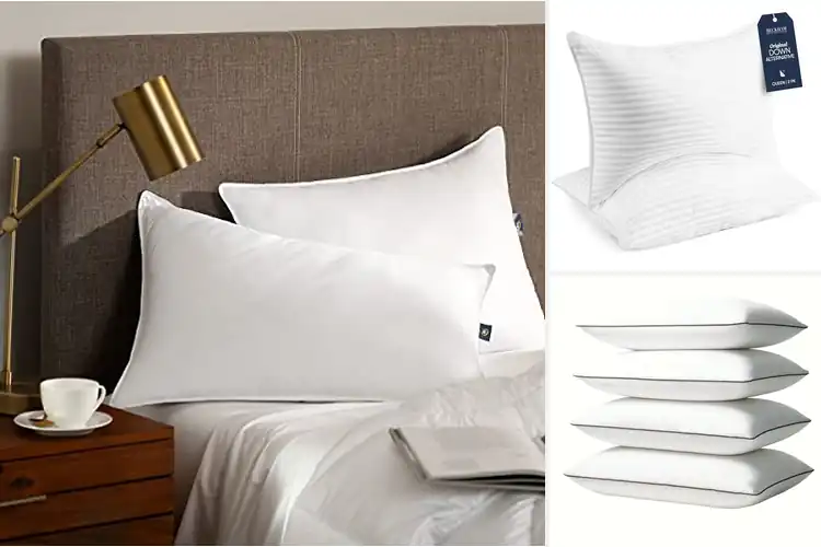 Detailed view of Best Allergy Free Pillows