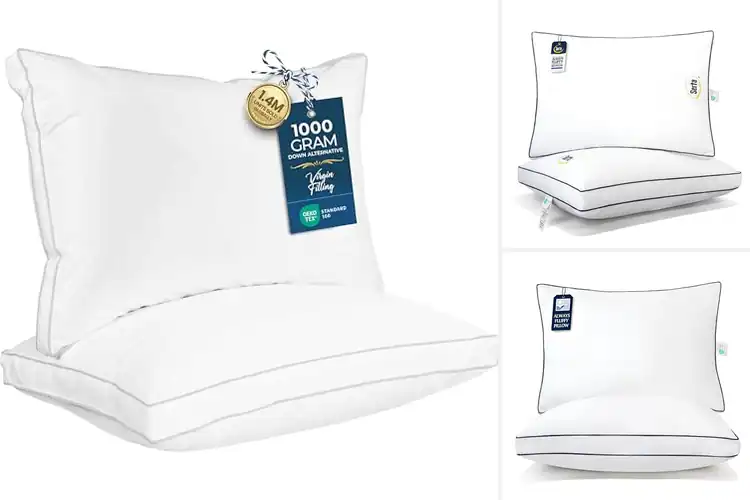 Detailed view of Best Queen Size Gusseted Pillows For Hotel Look